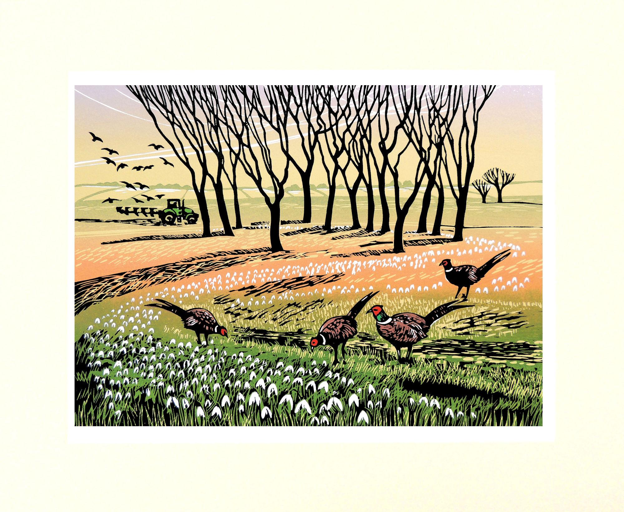 Snowdrop Swathe and Blossom in the Wind diptych - Beige Figurative Print by Rob Barnes