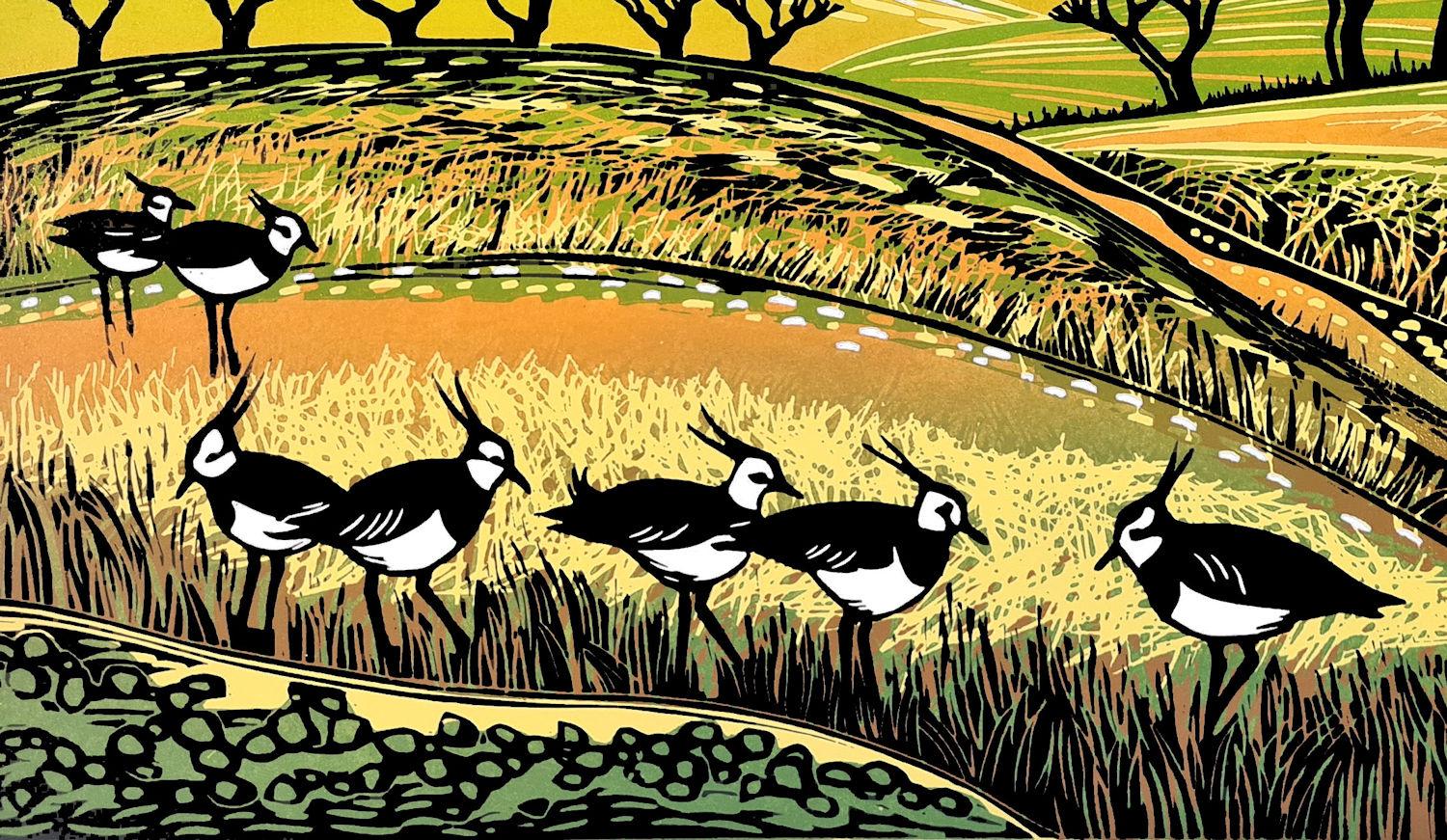 Frühlingskiebitz, Kunstdruck in limitierter Auflage, Landschaft, Nature (Zeitgenössisch), Print, von Rob Barnes
