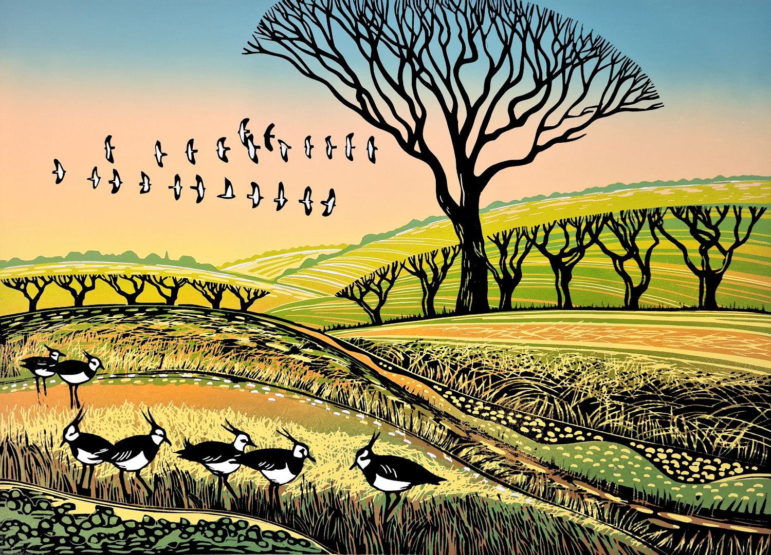 Frühlingskiebitz, Kunstdruck in limitierter Auflage, Landschaft, Nature im Angebot 2