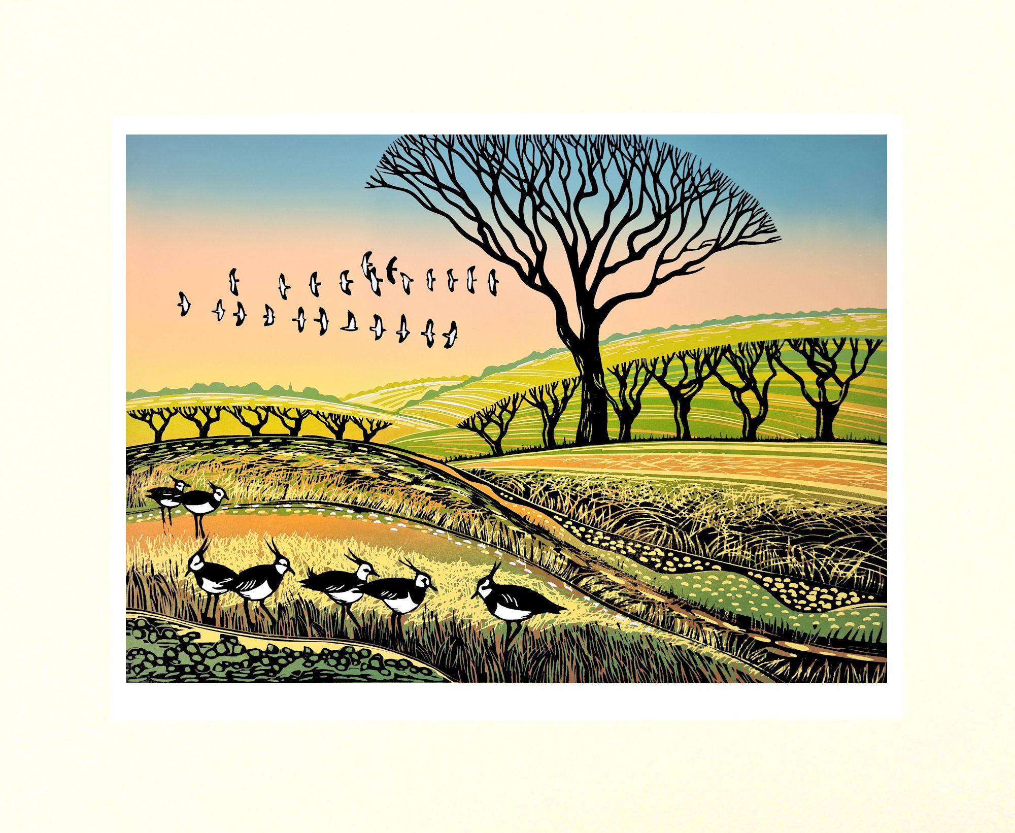 Frühlingskiebitz, Kunstdruck in limitierter Auflage, Landschaft, Nature im Angebot 3
