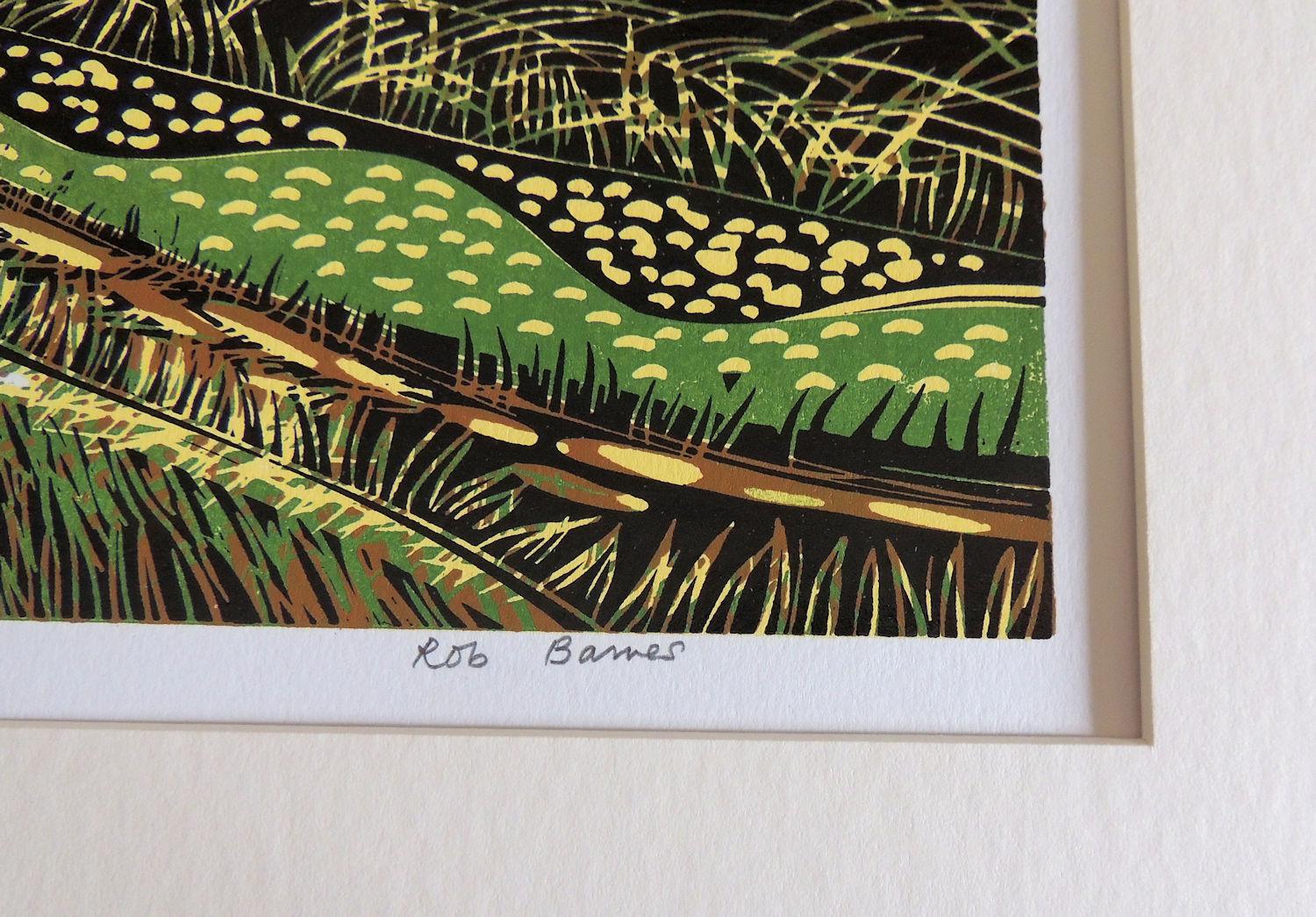 Frühlingskiebitz, Kunstdruck in limitierter Auflage, Landschaft, Nature im Angebot 4