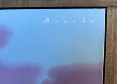 "Chill" seagull perched atop ice box in front of sunset