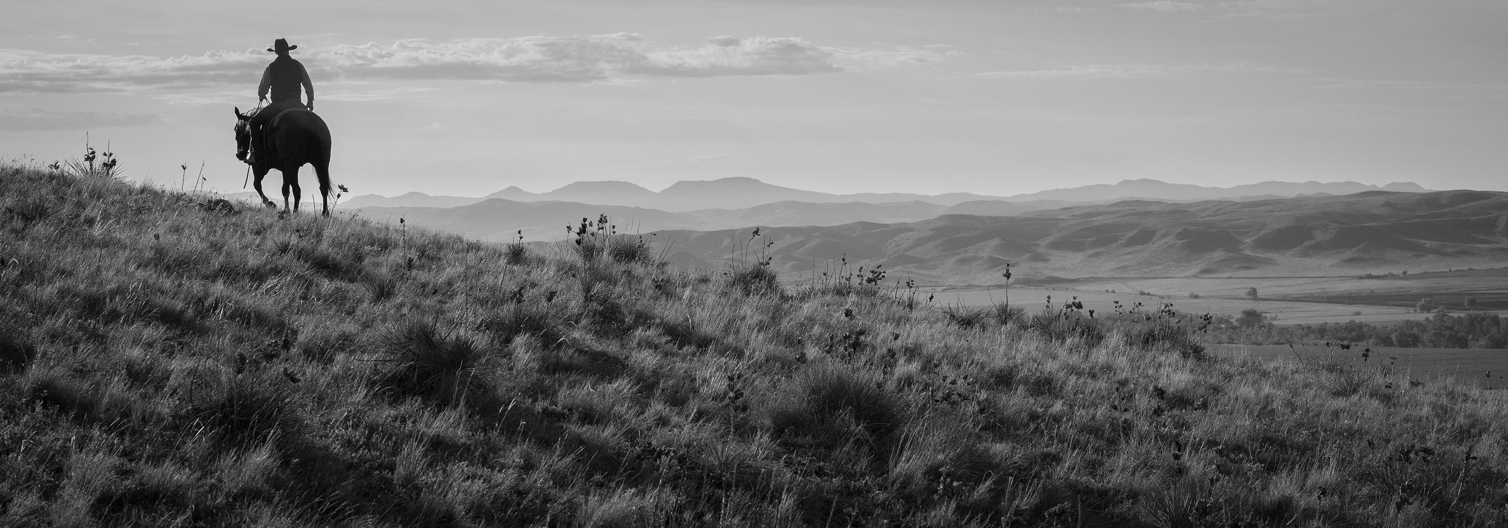 Montana Morning - Photograph by Rob Hammer