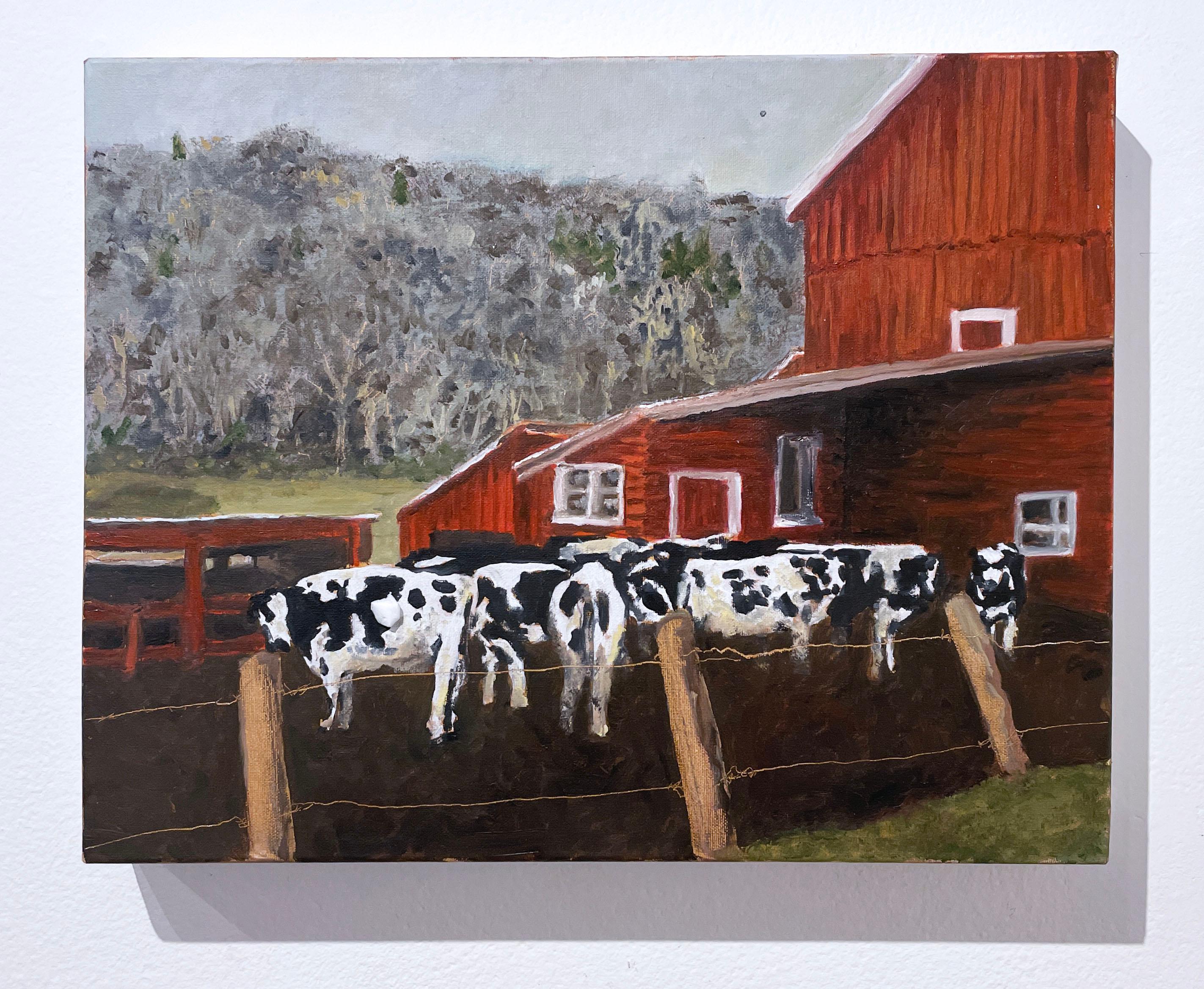 Moondog Holstein (2022), oil on linen, cows, red barn, landscape, farm painting - Painting by Rob Kaniuk