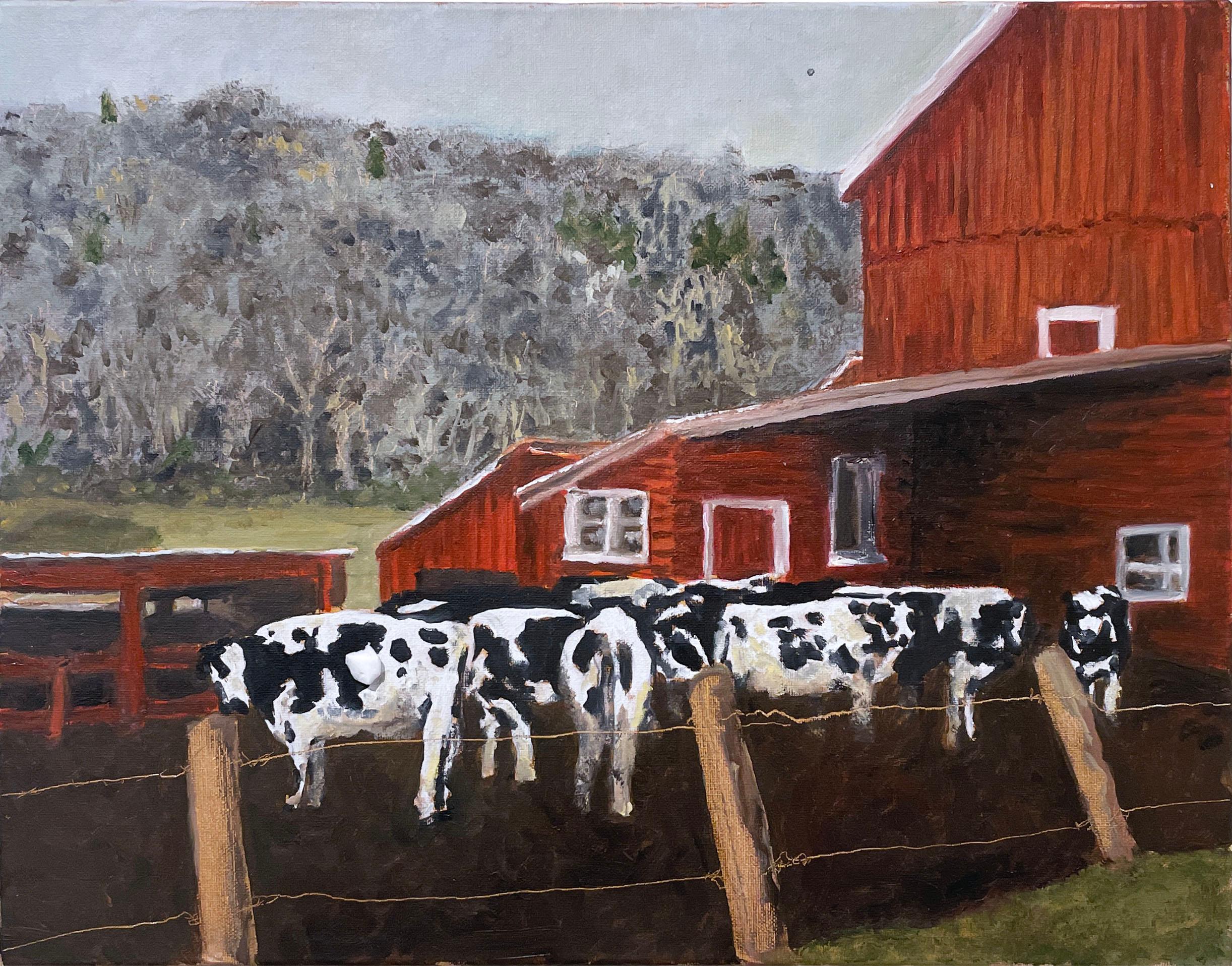 Rob Kaniuk Animal Painting - Moondog Holstein (2022), oil on linen, cows, red barn, landscape, farm painting