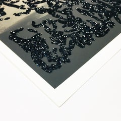 Les Pandas géants passent environ 12 heures par jour à manger