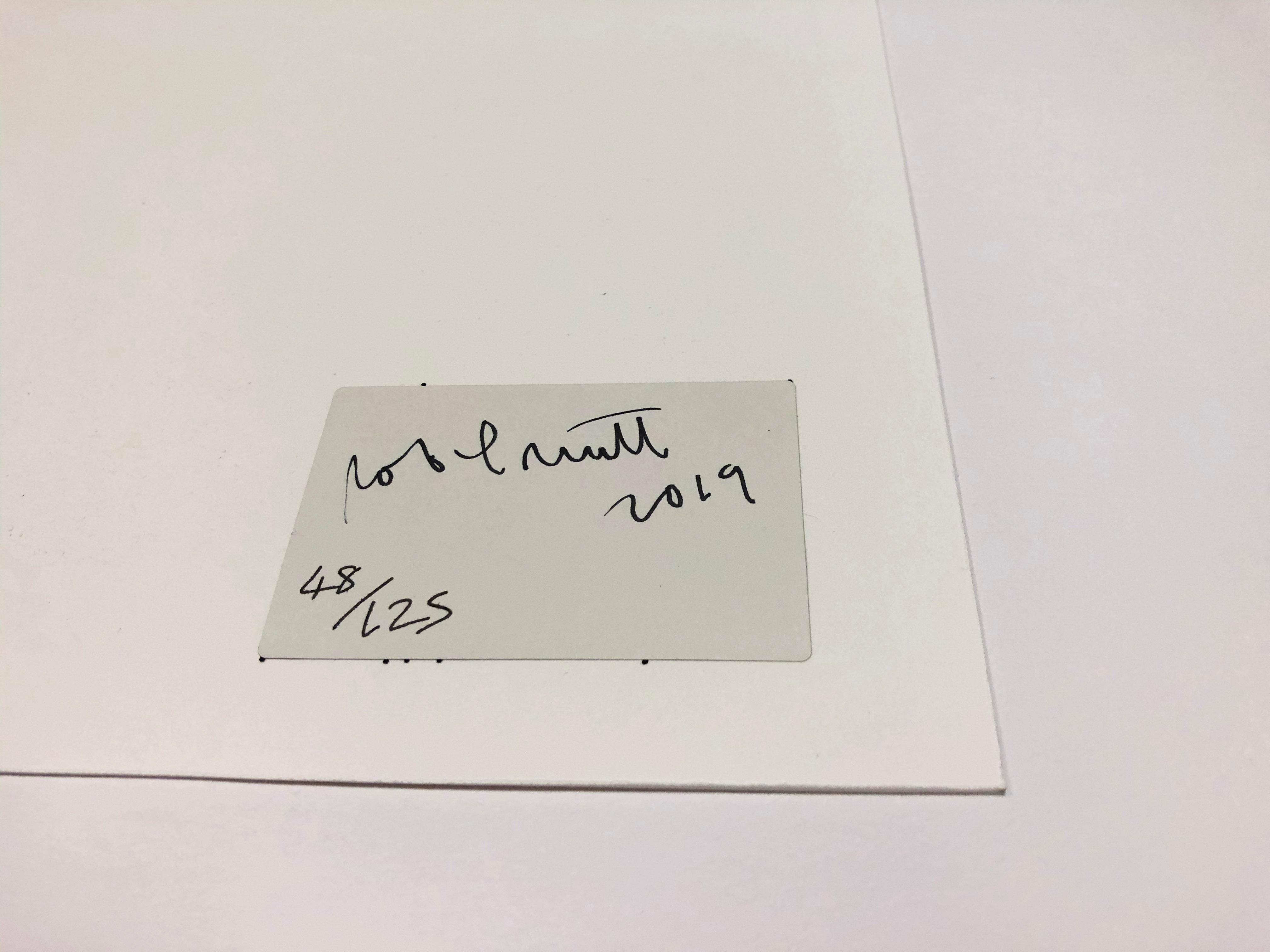 Les Pandas géants passent environ 12 heures par jour à manger en vente 1