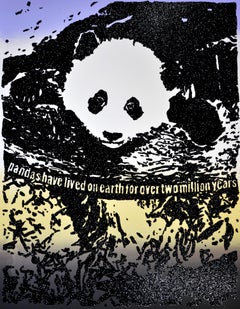 Giant Pandas verbringen etwa 12 Stunden am Tag damit, bis zu 15 Kilogramm Bambus zu essen. 