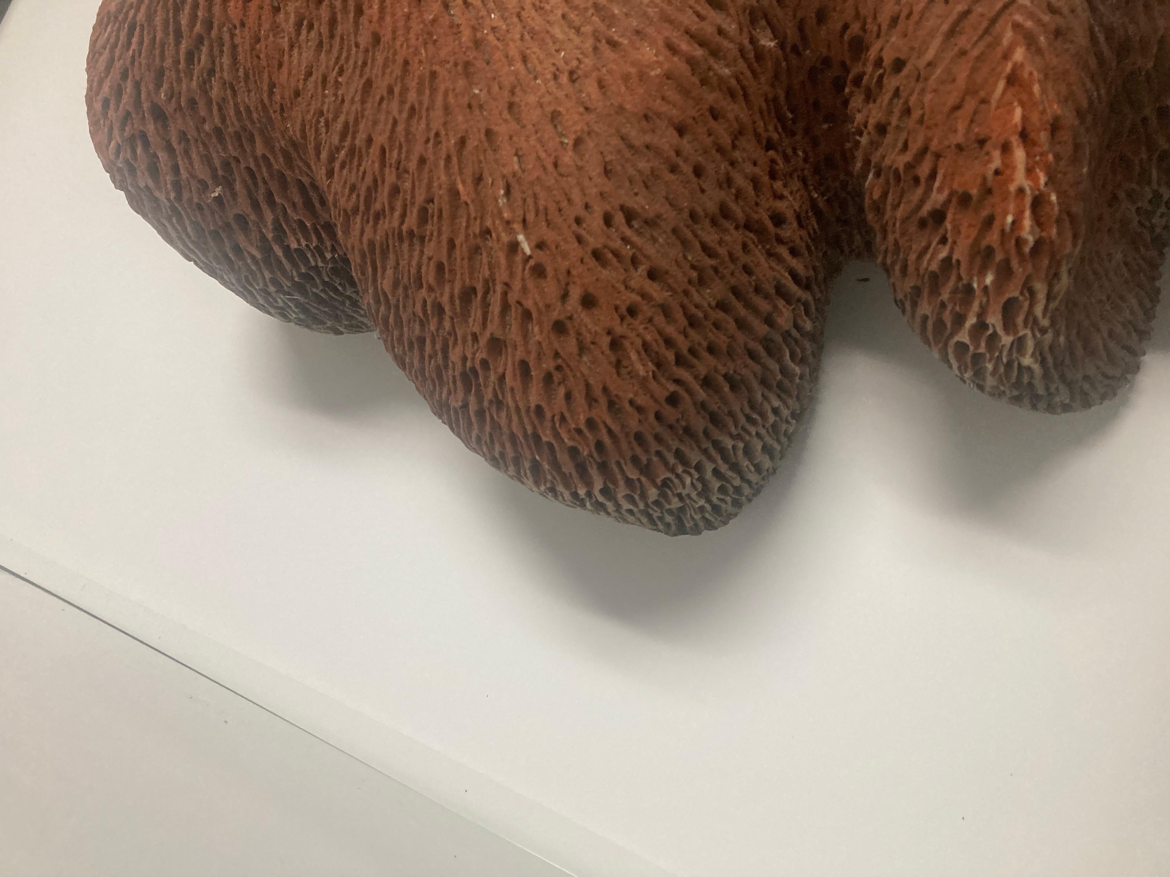 Sculpture en céramique en vente 5