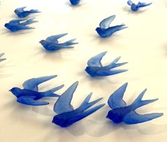 Cobalt Swallows (Qty 13)