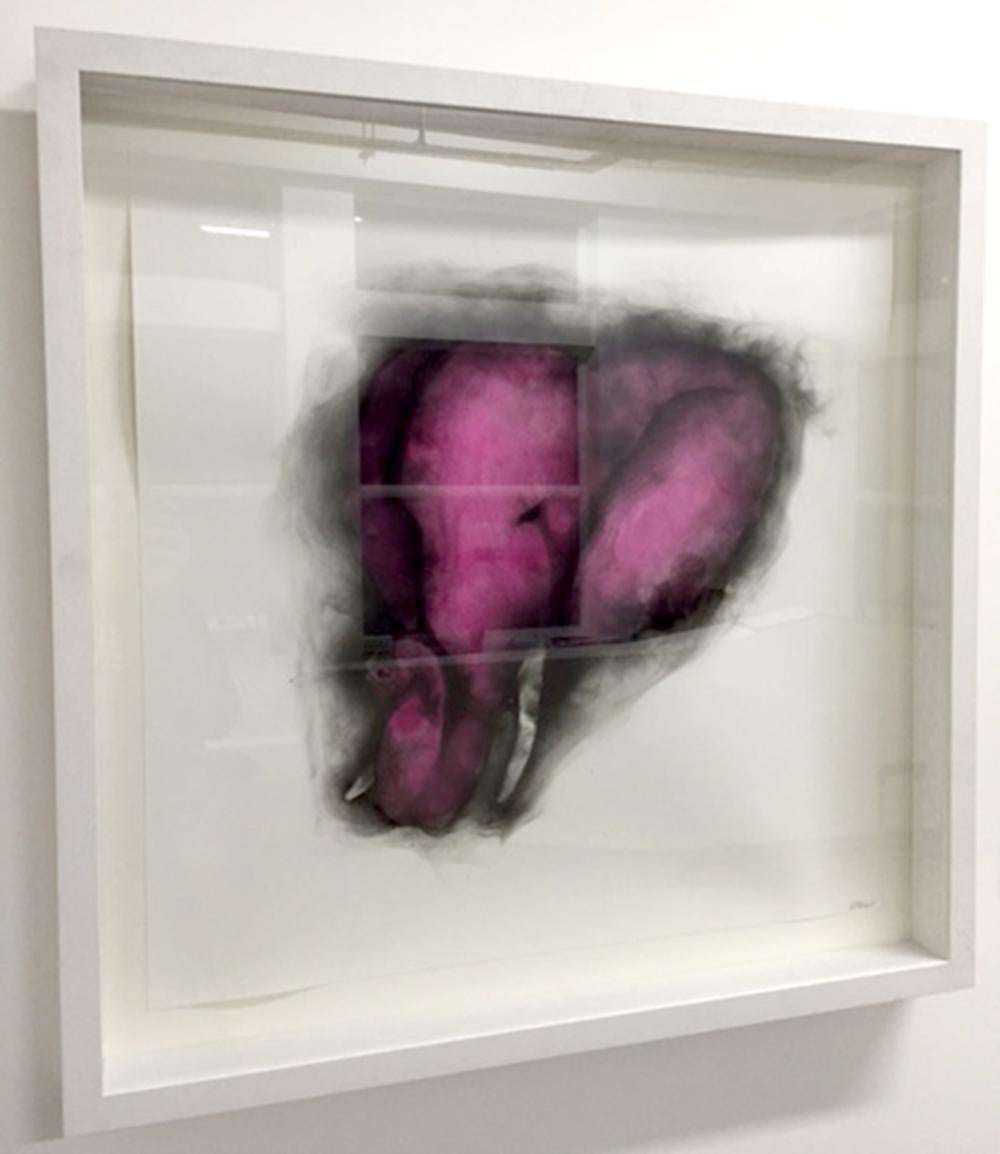 Elephant in the Room II - hot pink elephant, smoke on paper, contemporary frame