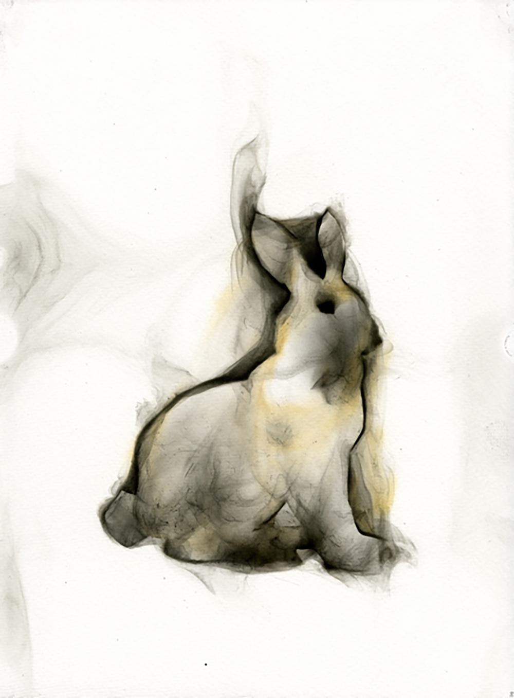 Rabbit # 1 - smoke on paper, classic and contemporary with black box frame - Mixed Media Art by Rob Tarbell