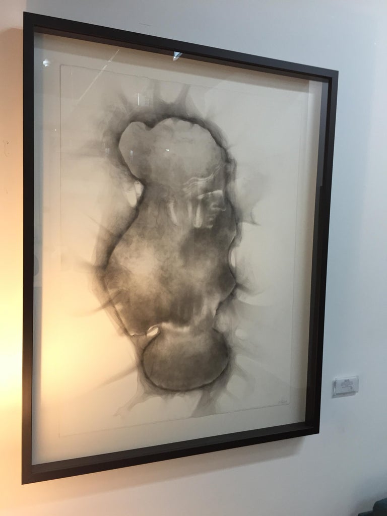 Rob Tarbell Venus E Smoke On Paper Elegant Custom Contemporary