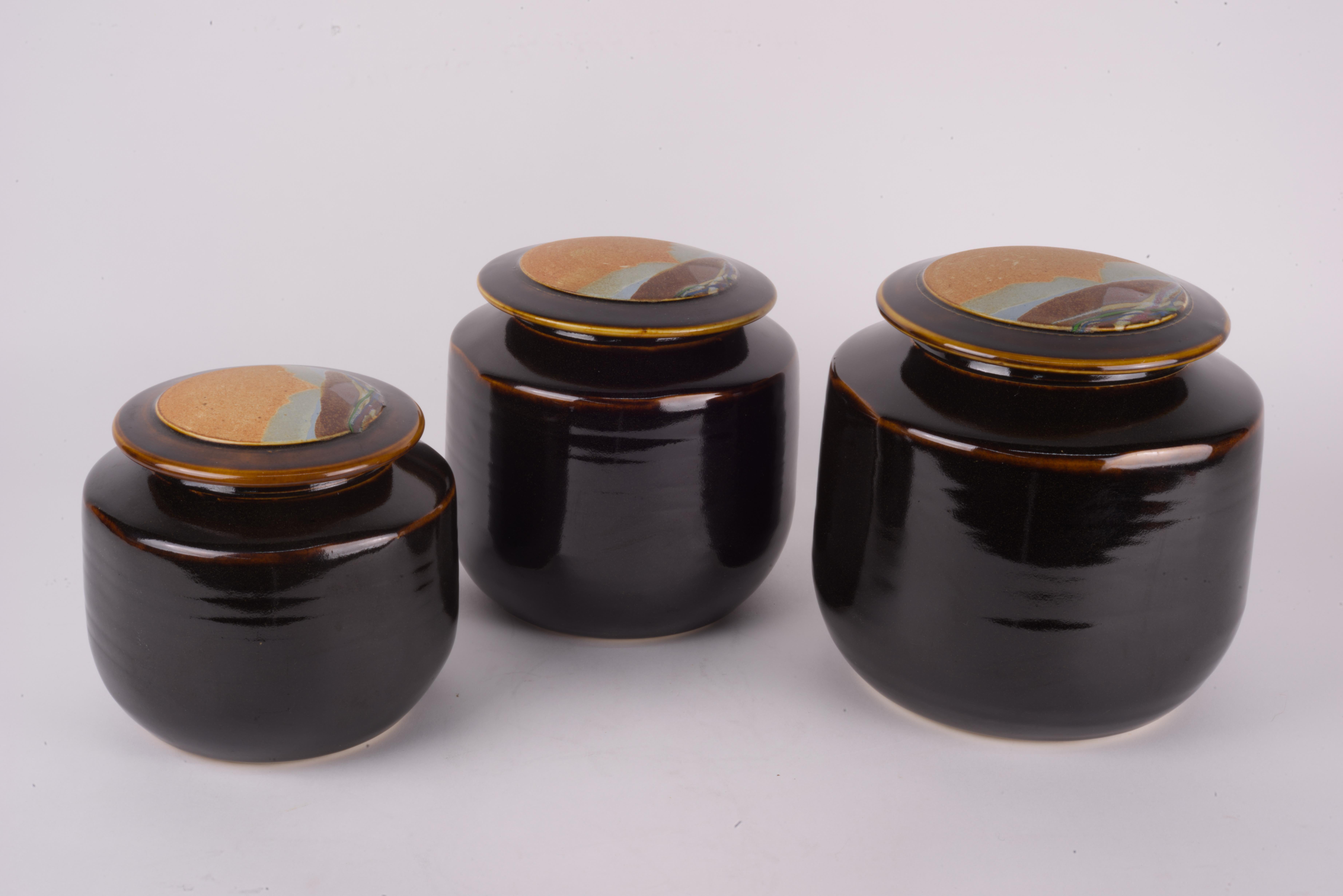 Pottery Rob Wiedmaier Covered Vessel Jar Organic Landscape Medium For Sale
