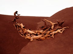 "Abundance" Photography 30" x 40" in Ed. of 24 by Rob Woodcox