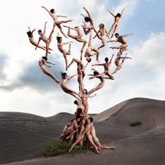 « Tree Of Life » (FRAMÉ) Photographie 40" x 40" pouces Ed. 1/12 par Rob Woodcox