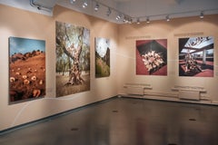 "Portals" Photography 50" x 40" inch Edition of 12 by Rob Woodcox