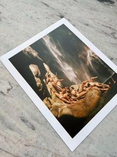 "Tamul 1" Photography 40" x 30" inch Edition of 24 by Rob Woodcox