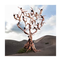 "The Tree Of Life" Photography 30" x 30" inch Ed. of 24 by Rob Woodcox