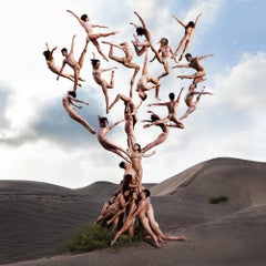 "L'albero della vita" Fotografia 30" x 30" pollici Ed. di 24 di Rob Woodcox