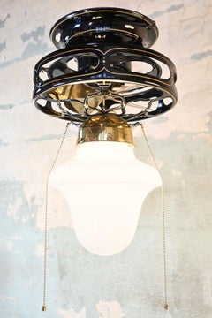 Robbins & Myers Fan and Light