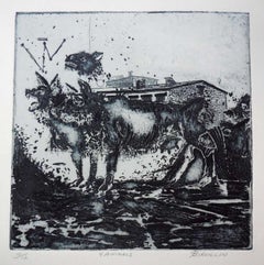 4 Animali, ed. di 12
