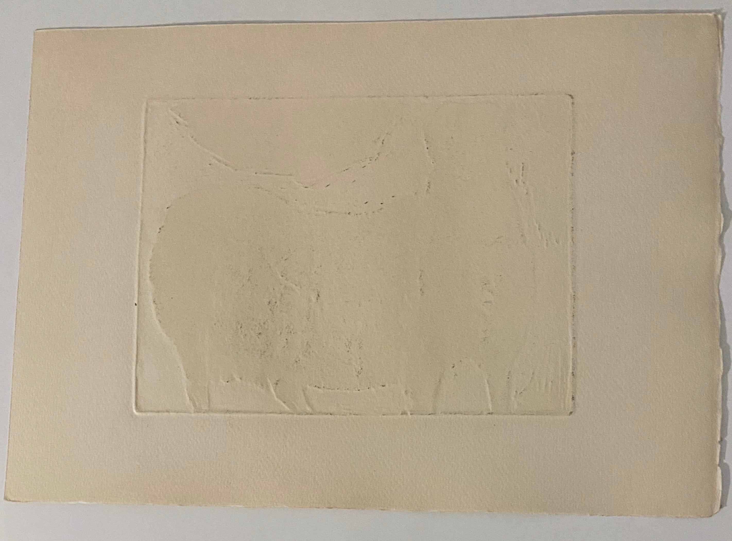 Né à Newark, dans le New Jersey, Robert Birmelin est devenu professeur de beaux-arts au Queens College de New York. Il est connu pour ses peintures qui magnifient par la texture le réalisme de la nature. 
Il a obtenu son BA en 1956 et son MFA en
