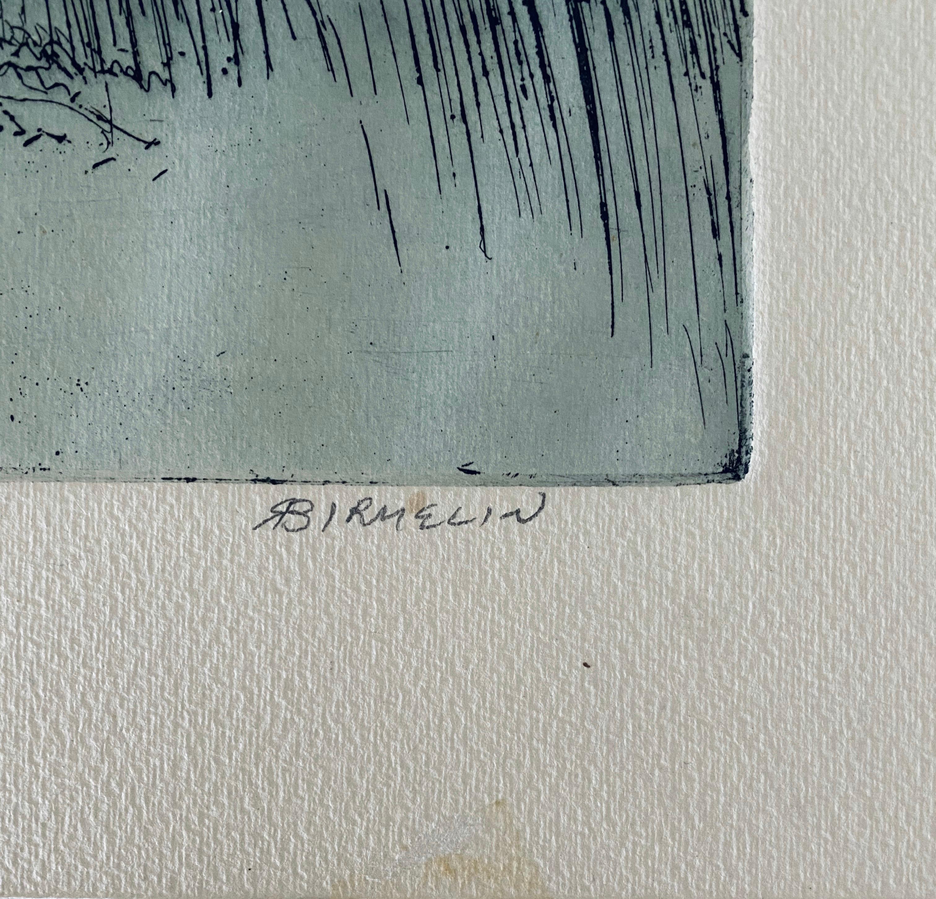 Born in Newark, New Jersey, Robert Birmelin became a professor of fine arts at Queens College in New York, and is known for paintings that magnify through texture the realism of nature. 
He earned his BA in 1956 and his MFA in 1960 from Yale School