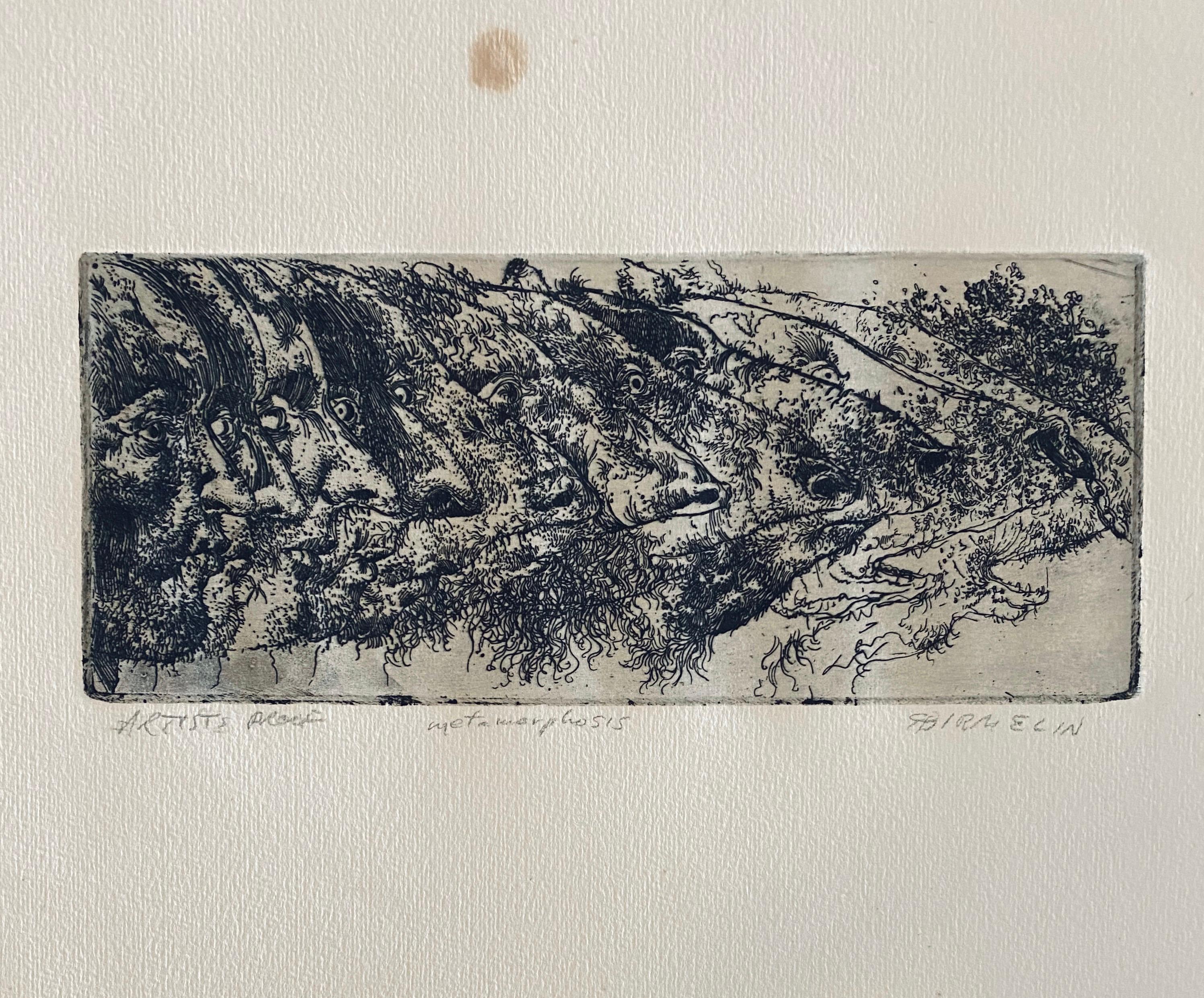 Nacido en Newark, Nueva Jersey, Robert A. Birmelin llegó a ser profesor de Bellas Artes en el Queens College de Nueva York, y es conocido por sus pinturas que magnifican mediante la textura el realismo de la naturaleza. 
Obtuvo su licenciatura en
