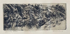 Metamorfosis, Grabado Abstracto Modernista Americano