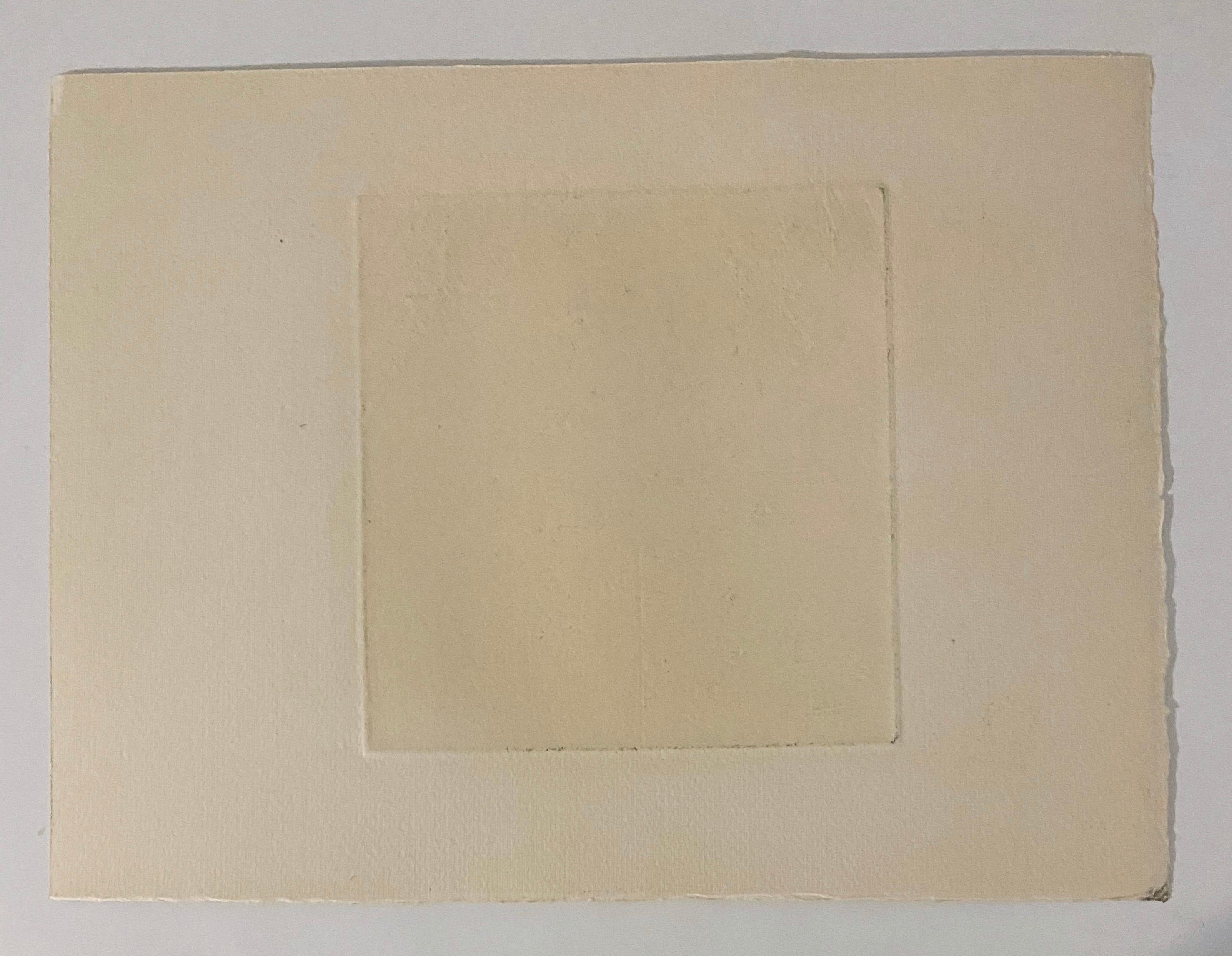 Nacido en Newark, Nueva Jersey, Robert A. Birmelin llegó a ser profesor de Bellas Artes en el Queens College de Nueva York, y es conocido por sus pinturas que magnifican mediante la textura el realismo de la naturaleza. 
Obtuvo su licenciatura en