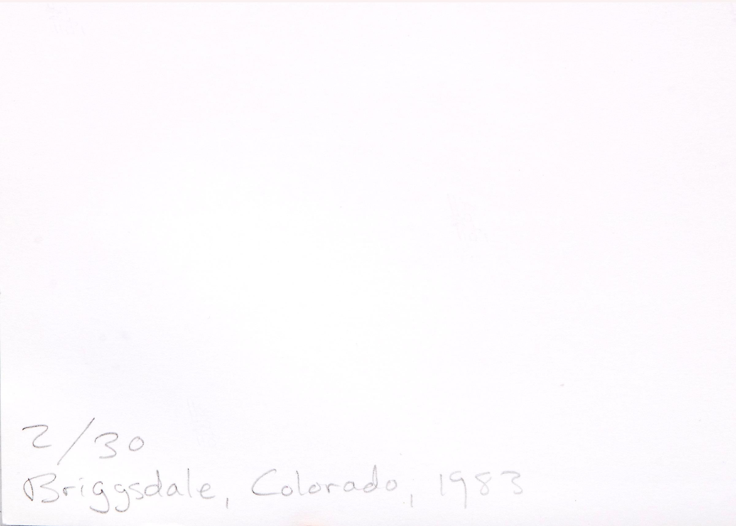 Edge of Briggsdale, Colorado, 'Missouri West' series, Black & White Landscape - Gray Landscape Photograph by Robert Adams