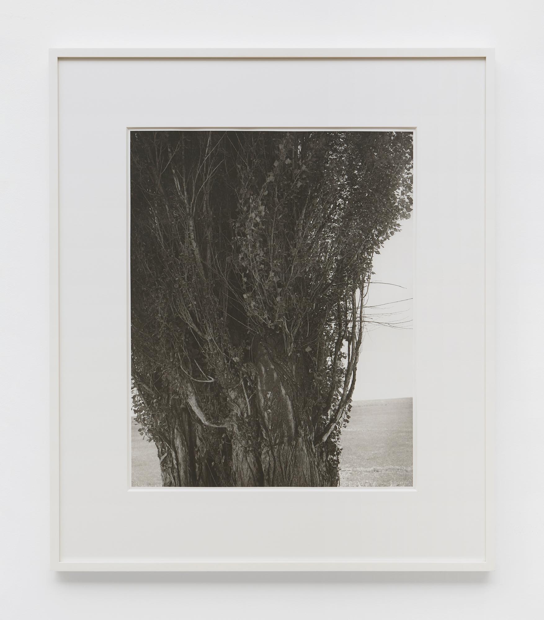 Condado de Harney, Oregón - Print de Robert Adams