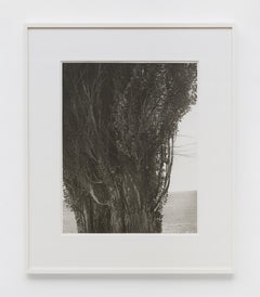 Harney County, Oregon