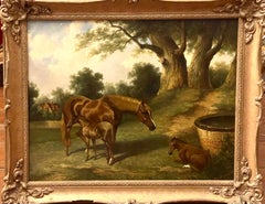 Mare and foals in pasture