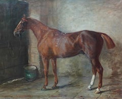 Portrait of a chestnut horse in stable - Scottish 19th century art oil painting
