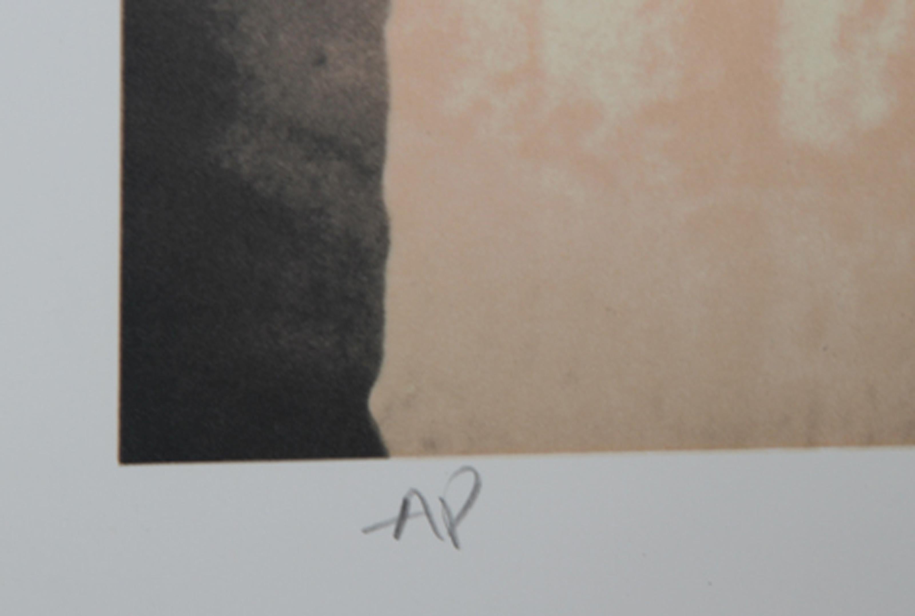 Dreams of a Dusty Attic, surrealistische Lithographie von Robert Anderson im Angebot 1