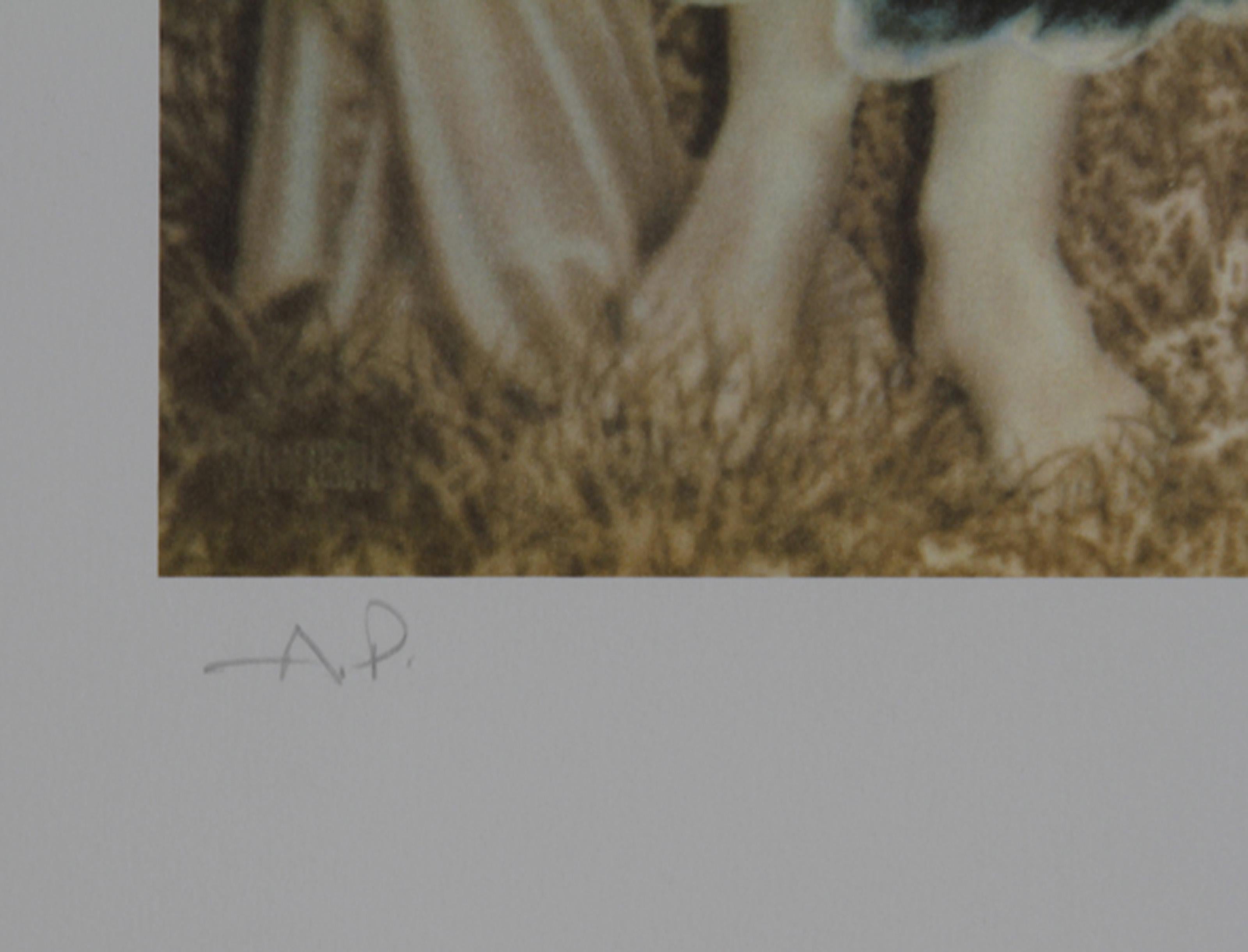 Hopelessly Watching, Surrealist Lithograph by Robert Anderson For Sale 2