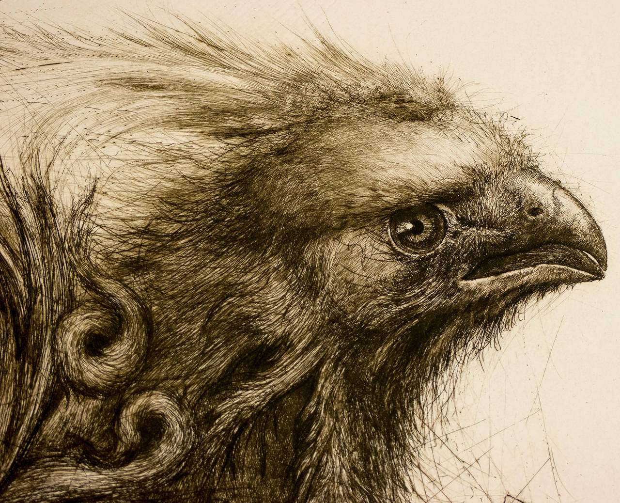 Ökologie VIII – Print von Robert Baramov