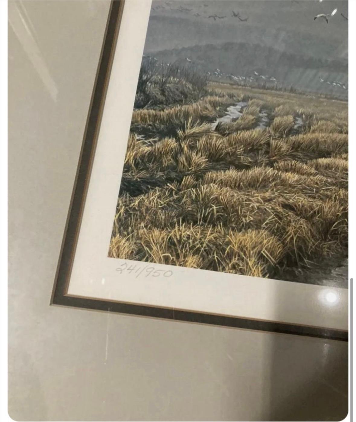 Signed and numbered. In good condition frame has minor chip and scratches.