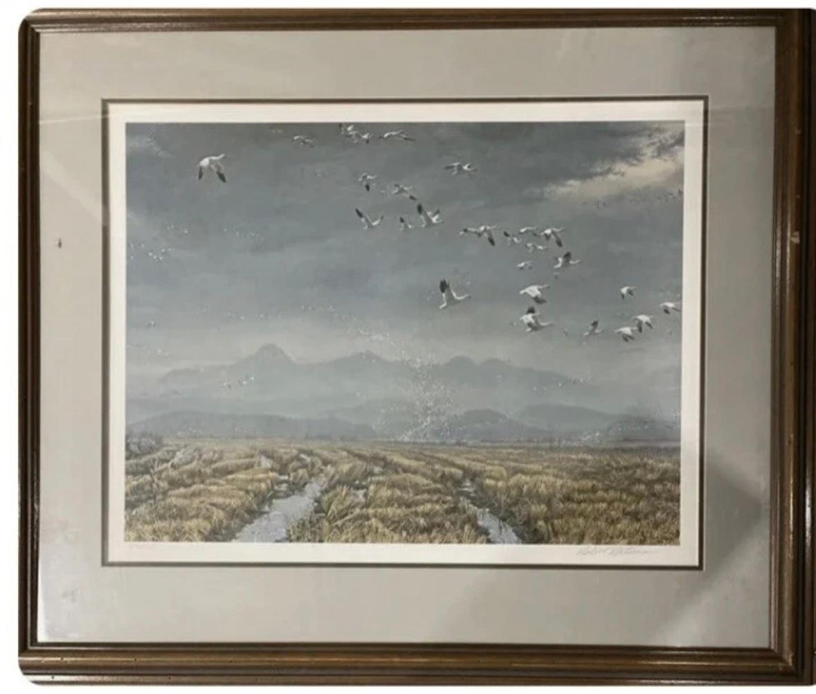 "Across the Sky Snow Geese" - Print by Robert Bateman