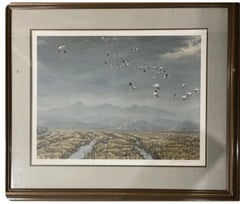 "Across the Sky Snow Geese"