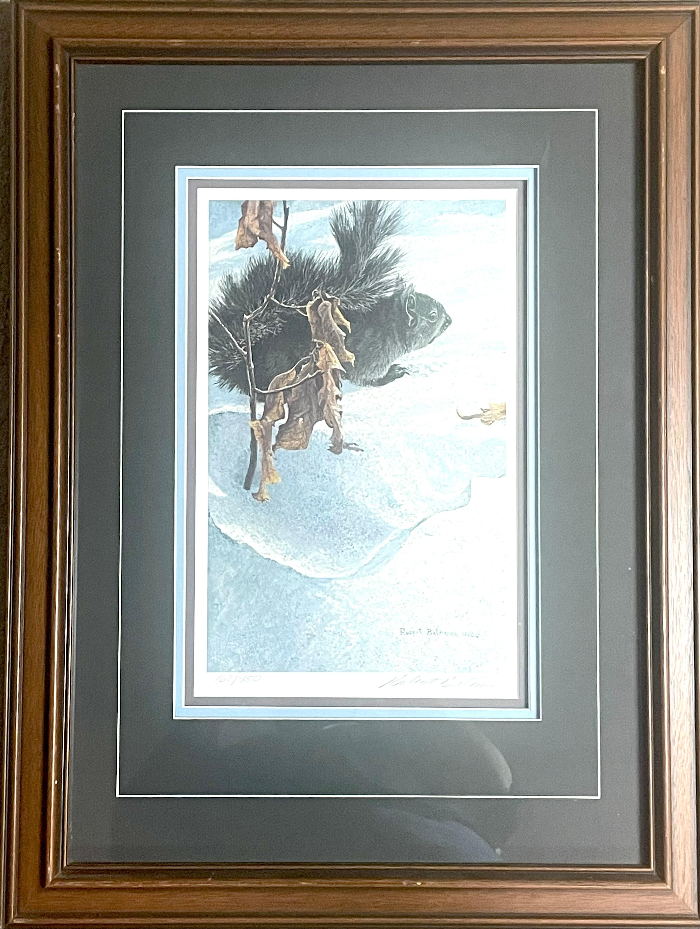 “late winter-black squirrel“ - Print by Robert Bateman