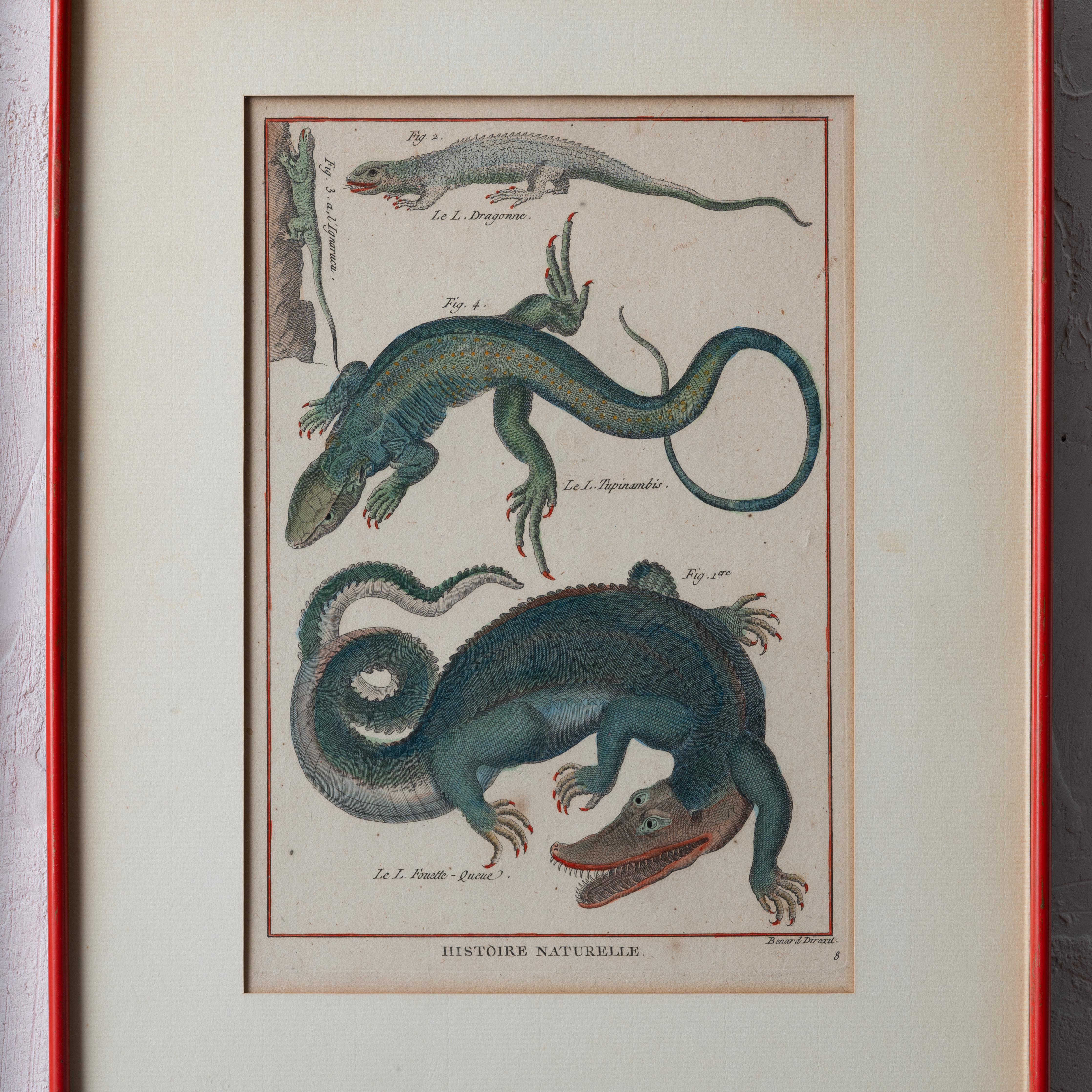 Robert Bénard - Eidechsengravuren, um 1798 (Glas) im Angebot