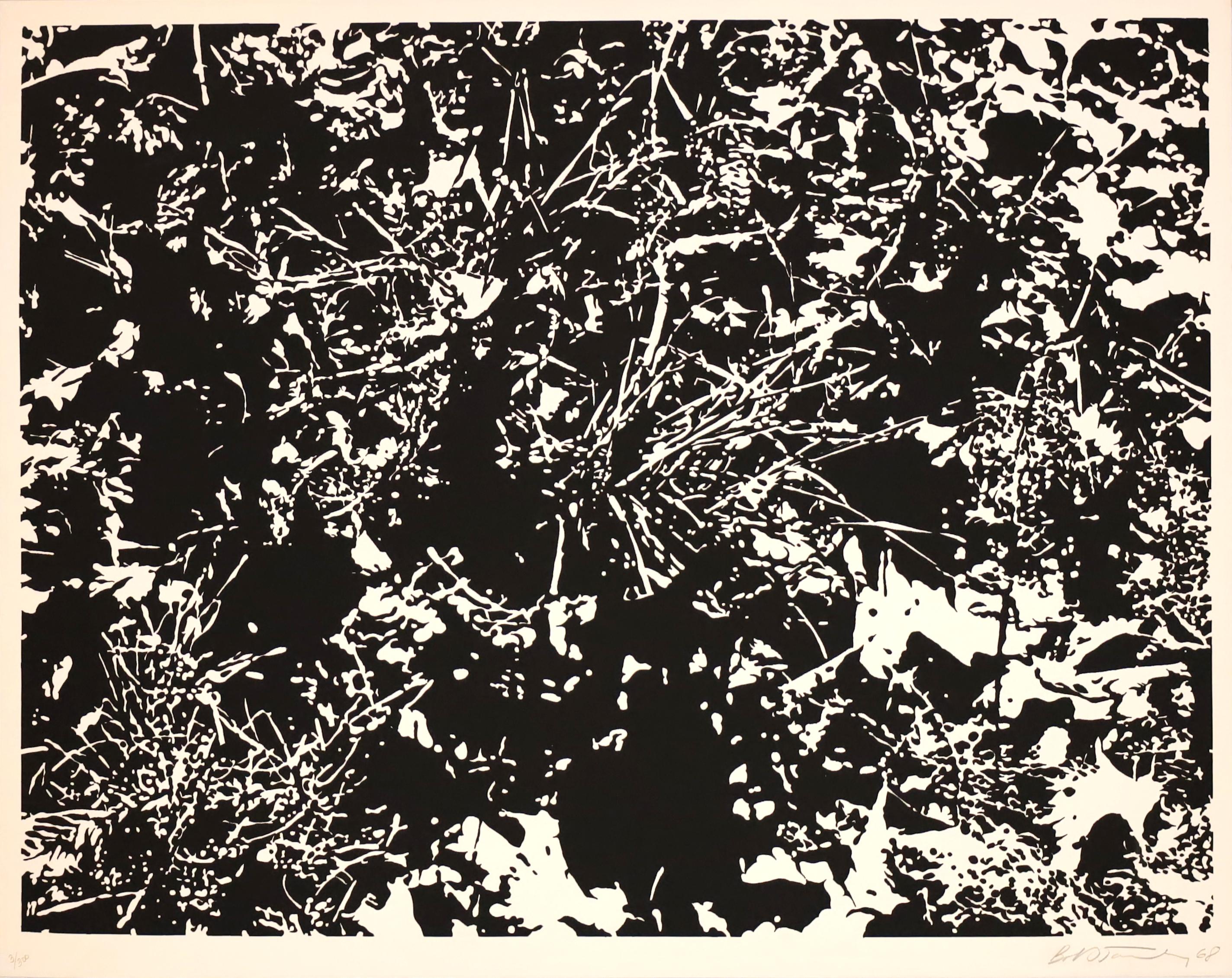 "TREE BRANCHES"  - Print by Robert Bob Stanley 