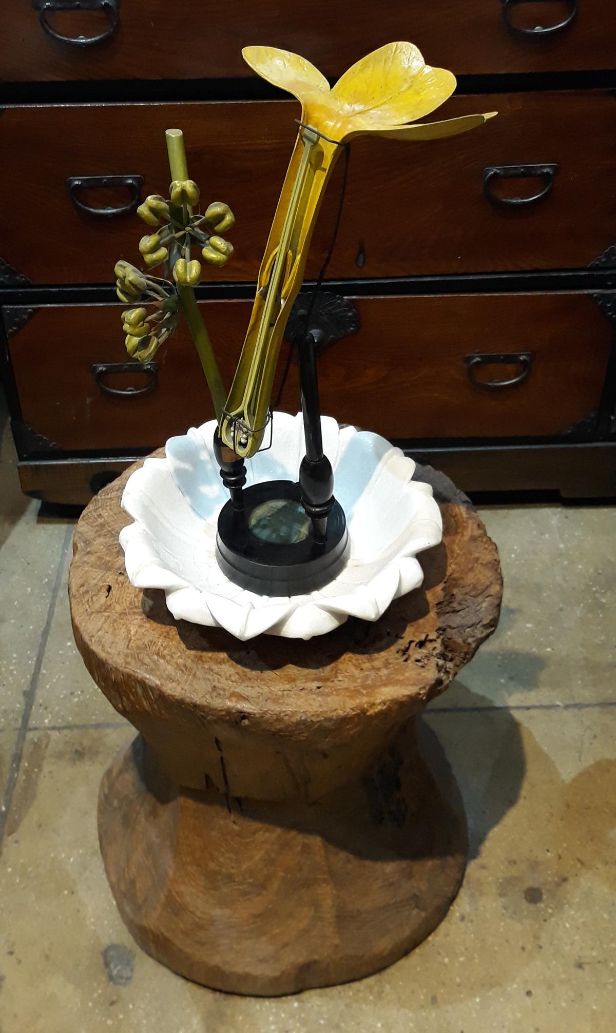 Modello botanico di Robert Brendel, XIX secolo in vendita 4