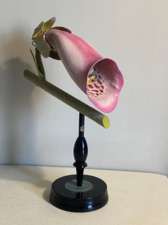 Robert Brendel's Botanical Model "Digitalis", Germany 1900s