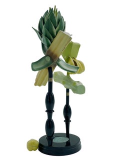 Modello botanico "Juniperus" di Robert Brendel, Germania, 1900