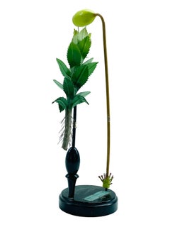 Robert Brendel's Botanical Model "Mnium Cuspidatum", Germany 1800s