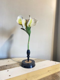 Botanicales Modell „Pisuni“ von Robert Brendel, Deutschland, 1900er Jahre